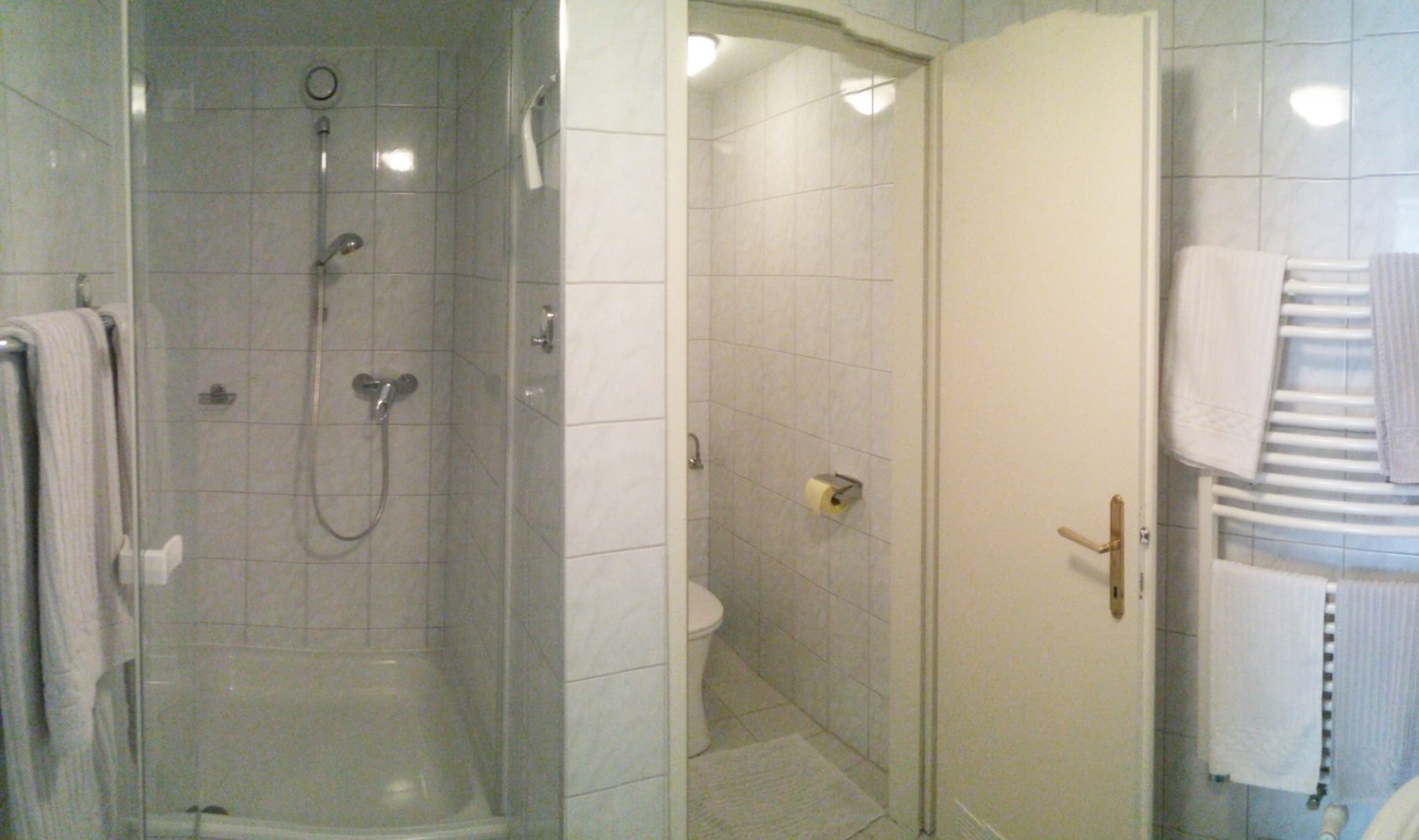 Dusche, WC und Handtuchheizkörper