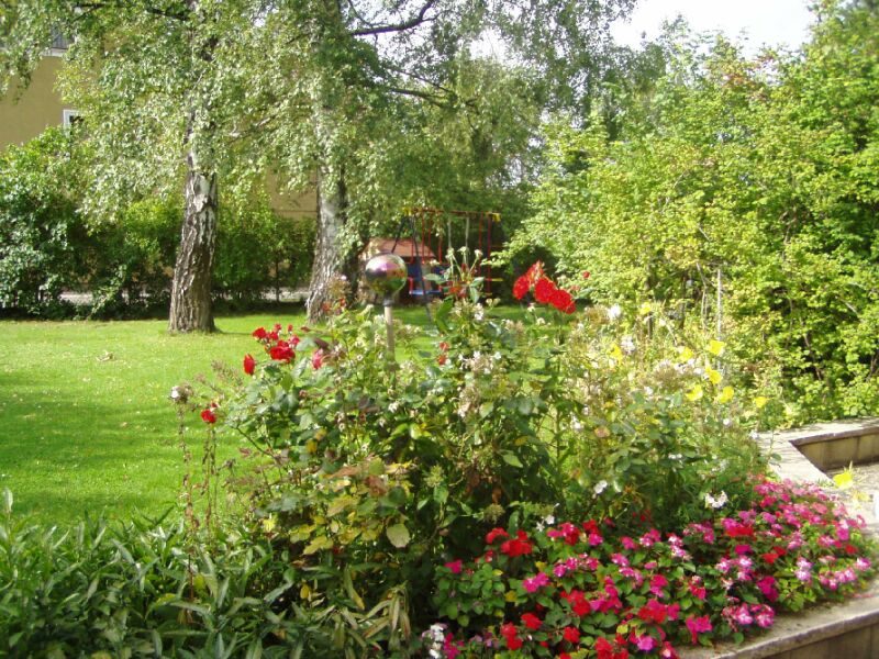 Garten mit Birken und Rosen