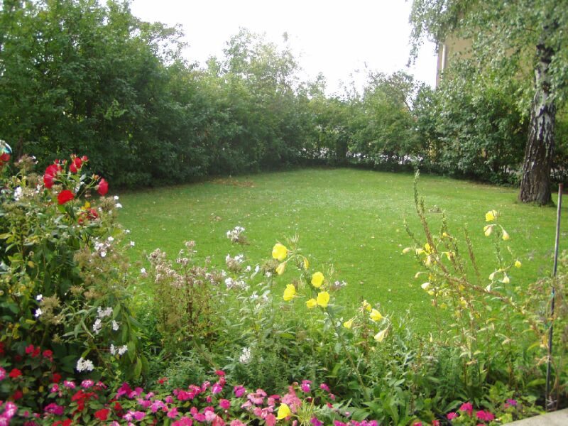 Wiese und Blumenbeet im Garten