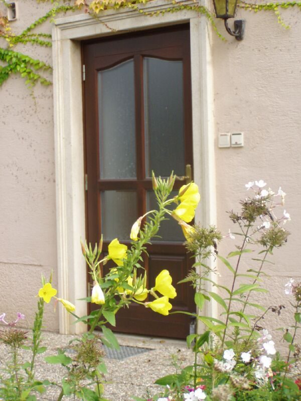 Eingangstür mit gelben Blumen